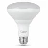 FEIT ELECTRIC 65 W Equivalent Soft White BR30 Dimmable Reflector Led Light Bulb - BR30DM/10KLED/2 - Bulbs