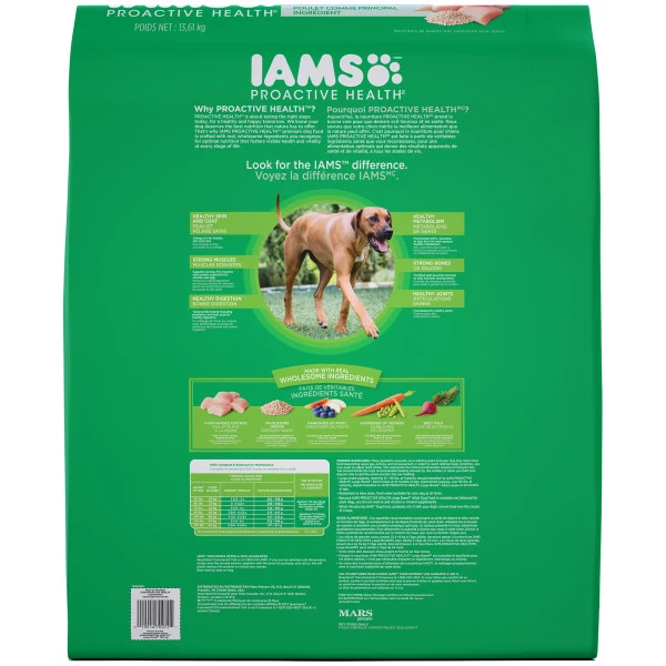 FEIT ELECTRIC 40 Watt Soft White Globe G16 1/2 Dimmable Incandescent Light Bulb 2 Pack - BP40G161/2/W - Bulbs - Image 4