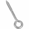 National Hardware 2151 Lag Screw Eyes in Stainless Steel - N220-772 - Screws