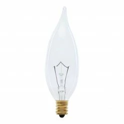 FEIT ELECTRIC 60 Watt Soft White Clear Flame Tip Candle Dimmable Incandescent "O" Light Bulb 2 Pack - BP60CFC - Bulbs