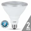 FEIT ELECTRIC 75 W Equivalent Warm White PAR38 Reflector Led Light Bulb - PAR3875/10KLED/2 - Bulbs