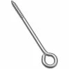 National Hardware 2151 Lag Screw Eyes in Stainless Steel - N220-780 - Screws